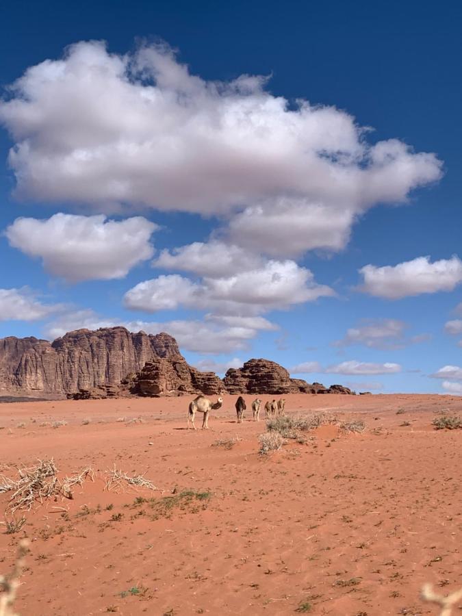 Wadi Rum Story Eksteriør bilde