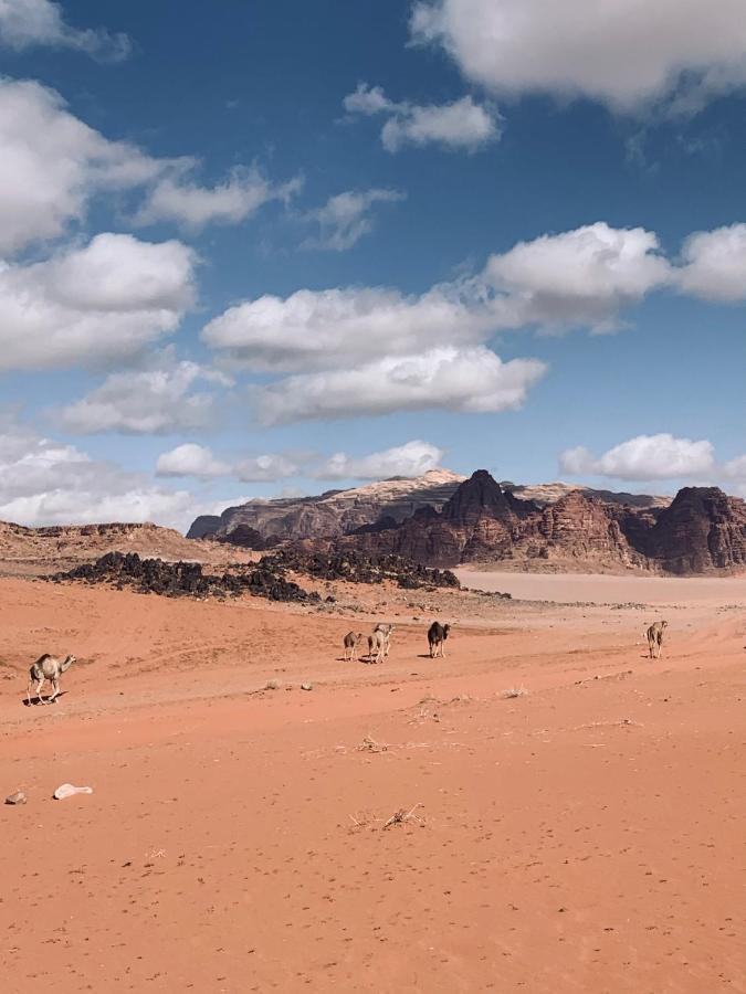 Wadi Rum Story Eksteriør bilde